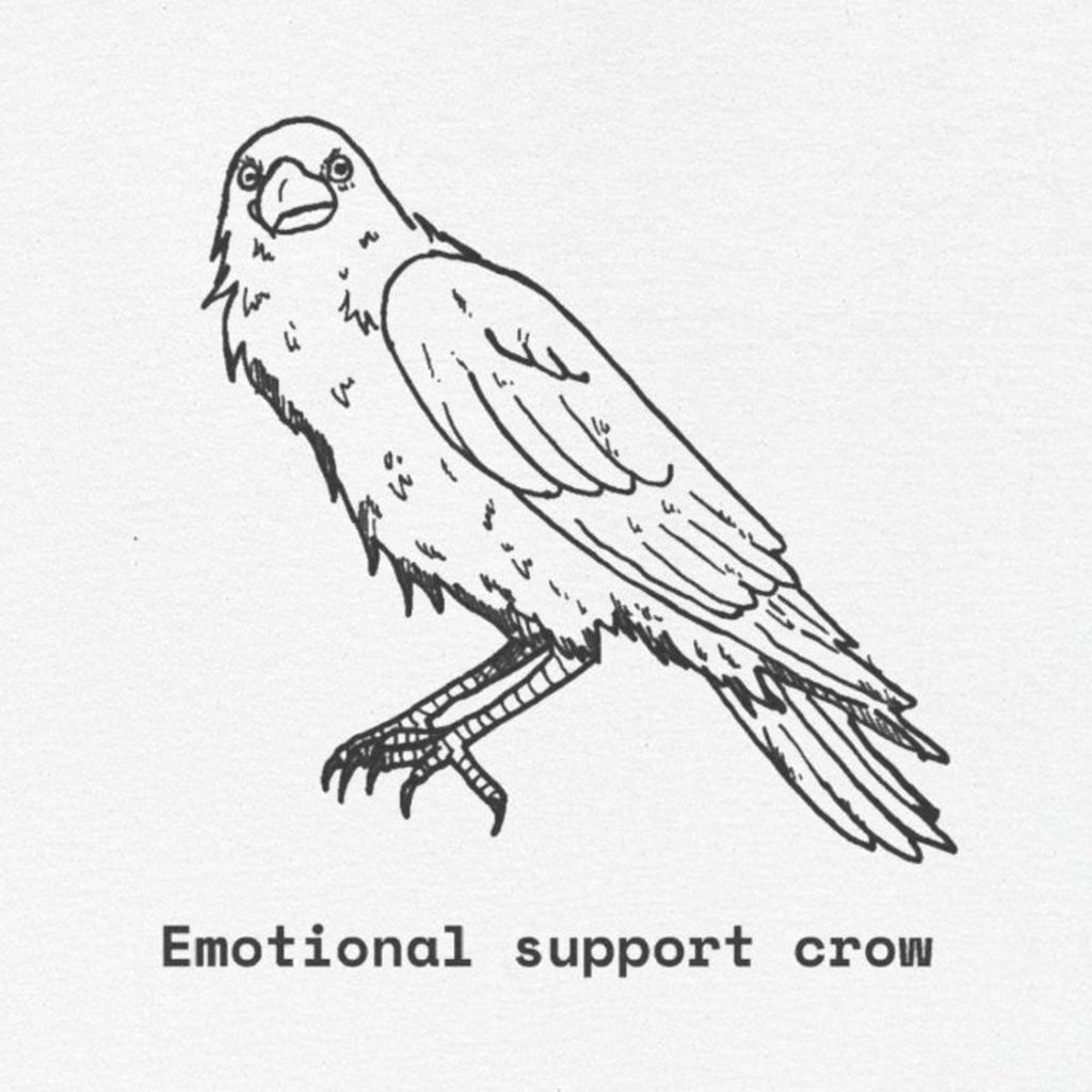 Emotional Support Crow
