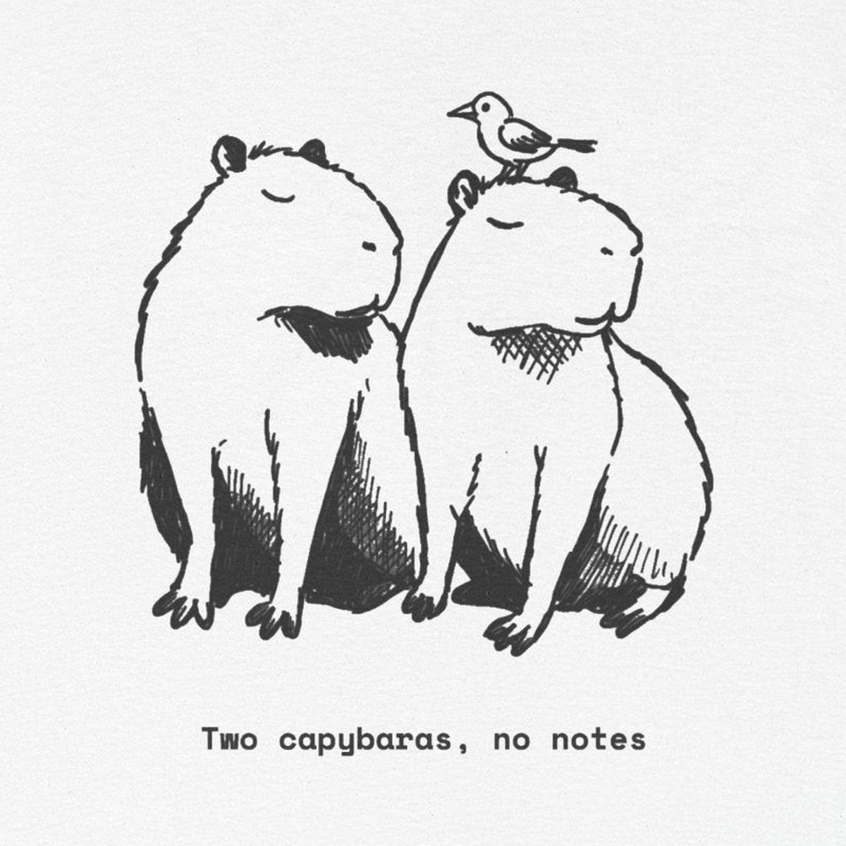 capybara print, cropped for legibility