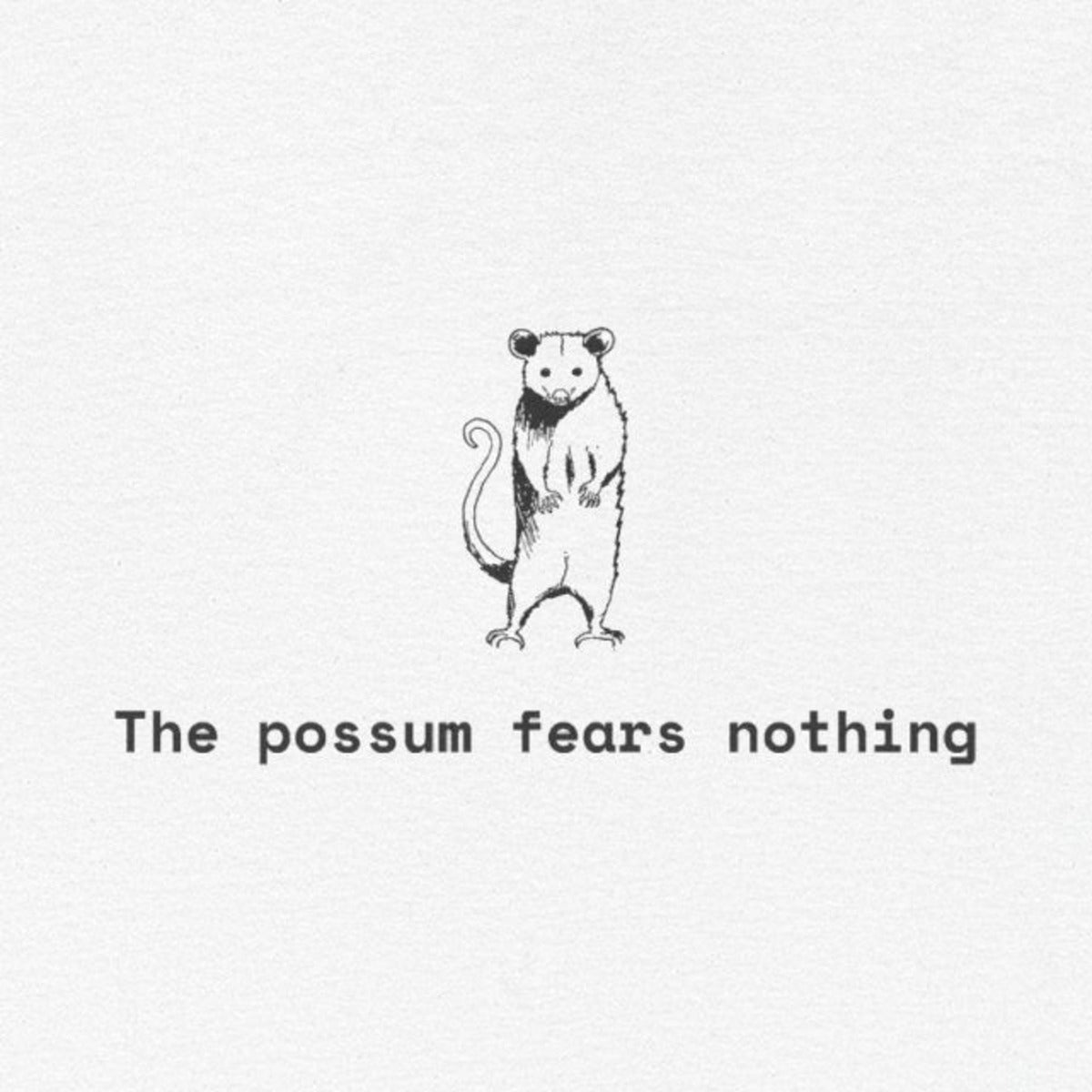 The Possum Fears Nothing